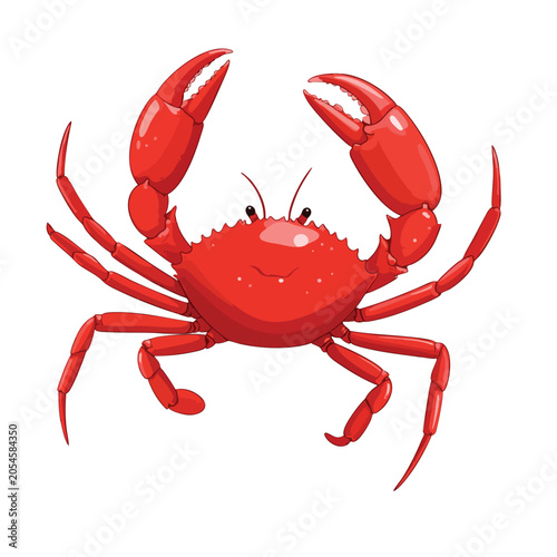 Vibrant illustration of a bright red crab isolated on a white background.