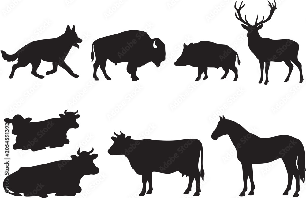 Fototapeta premium wild animals silhouette