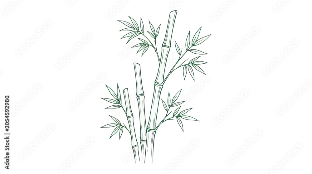 Fototapeta premium Bamboo stalks and leaves in a minimalist hand drawn style