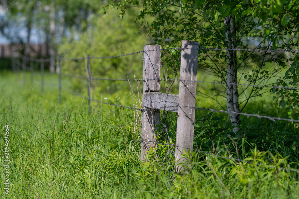 Obraz premium Weathered wooden fence post with barbed wire in sunlit meadow