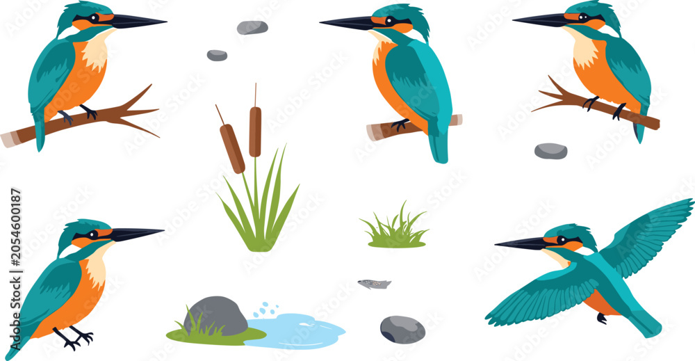 Obraz premium Common Kingfisher Bird Collection Featuring Perched and Flying Kingfishers with Reeds Pond Rocks and Wetland Nature Elements Vector Illustration
