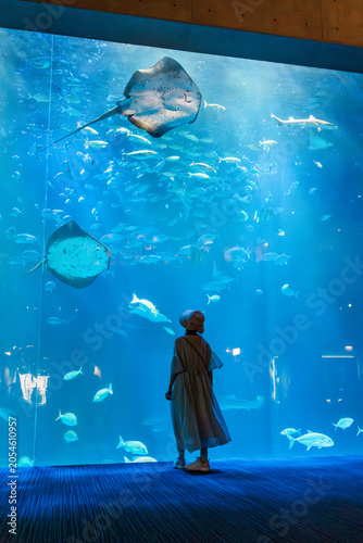 Obraz na płótnie Silhouetted tourist looking at a giant aquarium tank with marine life, japan, sh