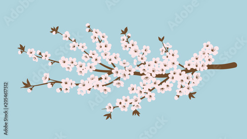 Delicate pink blossoms on a brown branch against a soft blue background