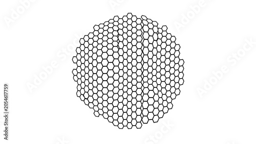 Circular arrangement of interconnected hexagons with irregular outer edges