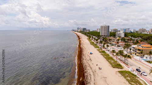 Canvas Print Fort Lauderdale Beach lined with heavy sargassum seaweed keeping tourists away