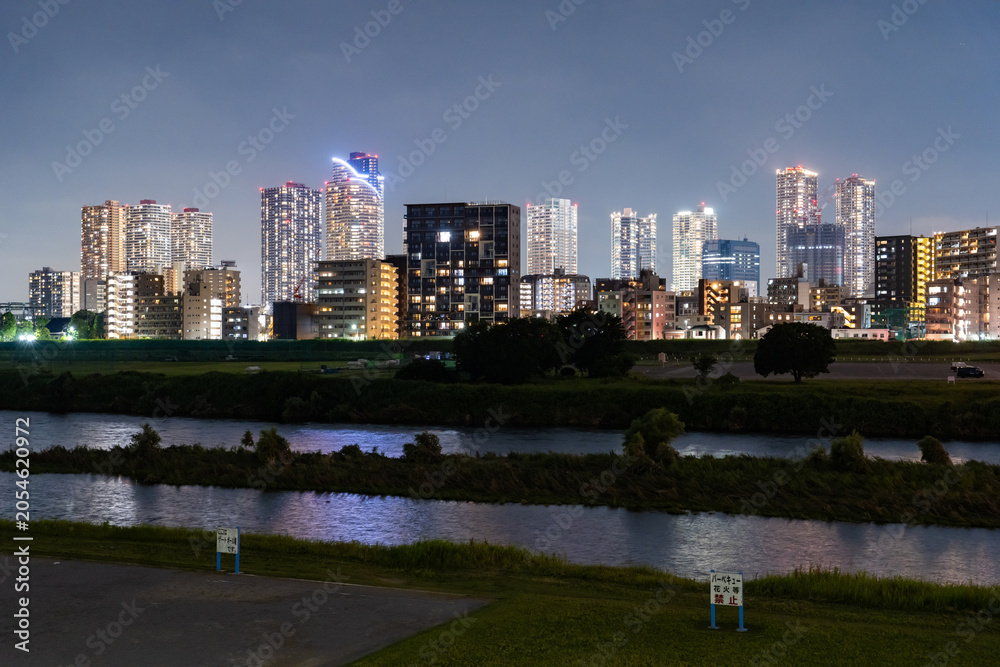 Obraz premium 武蔵小杉のタワーマンション群と多摩川沿いの夜景 Night View of Musashi-Kosugi Tower Apartments Along the Tama River, Japan