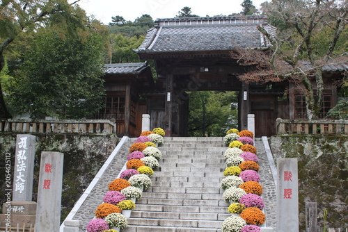 Tableau sur toile 静岡県伊豆市の修禅寺山門へと続く石段に美しく飾られた鮮やかな菊花展の風景