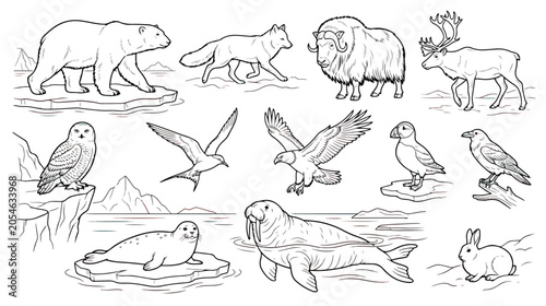 Schilderij op canvas Arctic animals line art collection, 12 polar wildlife vector illustrations, blac