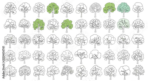 Educational collection of various deciduous tree sketches arranged in a grid showing different shapes and occasional color accents.