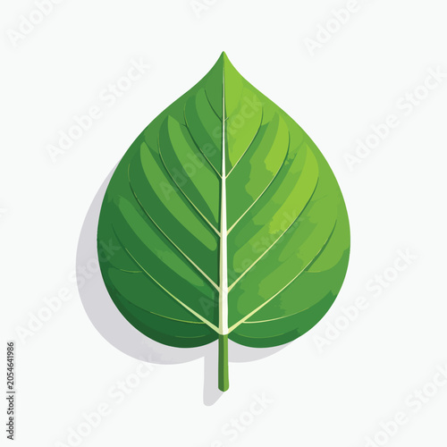 A single green heart shaped leaf illustration isolated on white background.
