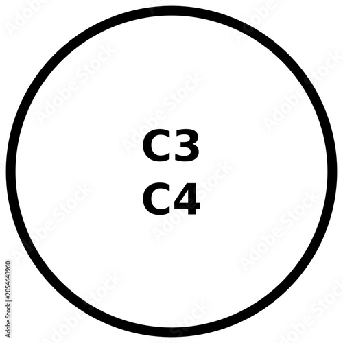 Tableau sur toile complement c3 c4 test icon