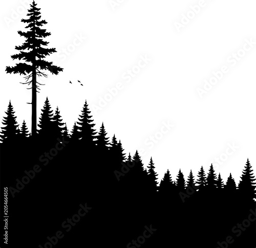 Black forest silhouette, pine tree landscape, nature scene, vector illustration