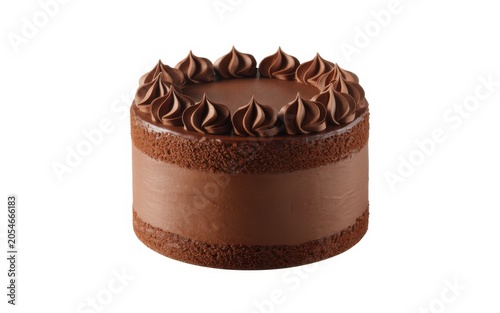 Chocolate layer cake isolated on a pure white background.