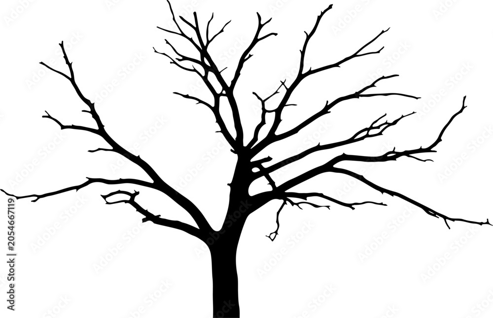 Fototapeta premium Bare tree, black silhouette, leafless branches, vector icon