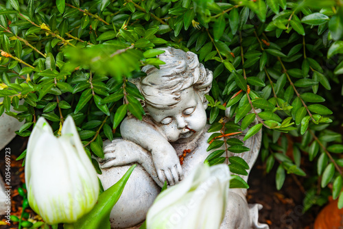 Fotografie Sleeping cherub stone statue hidden in green garden plants with white tulips in