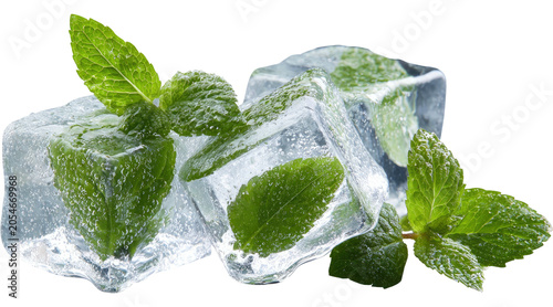 Obraz na plátně frozen mint ice cubes for drinks, cocktail, mojito, mocktail for refreshing cold