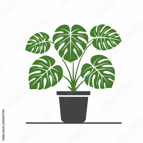 Monstera Plant in a Pot Icon