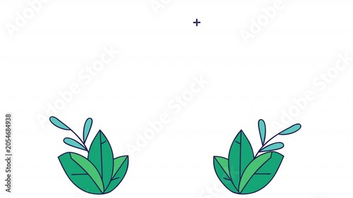 Flat leaf decor elements. Animated green leaf icons, alpha channel. Cartoon