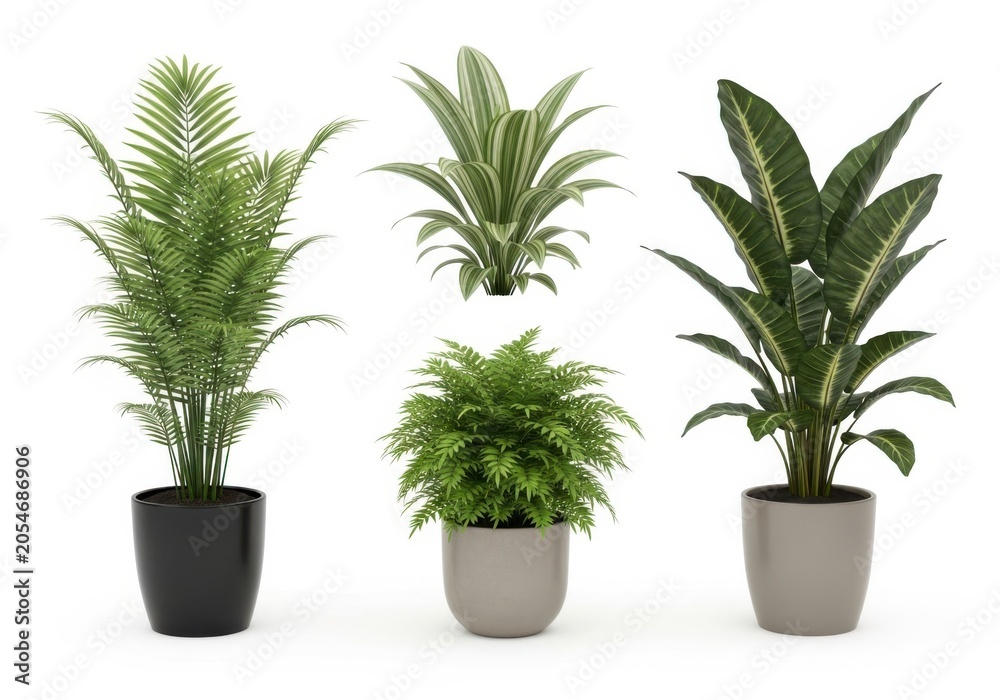 Fototapeta premium Three distinct potted houseplants showcasing varied foliage styles isolated on white background