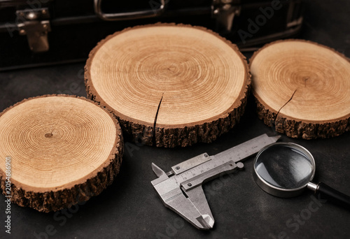 Принти на полотні Cross sections of wooden tree trunks showing growth rings with metal calipers an