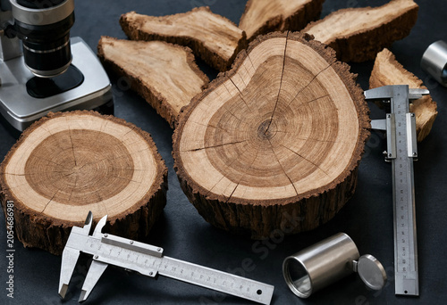 Photos Cross sections of tree trunks with visible growth rings and bark texture alongsi
