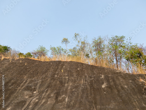 Shotcrete slope stabilization with trees against blue sky