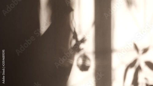 A blurred shadow of a child dances on the wall — a girl playing with Christmas decorations, exploring the magic of light and shadow. She’s waiting for the holidays with quiet anticipation. Winter mood