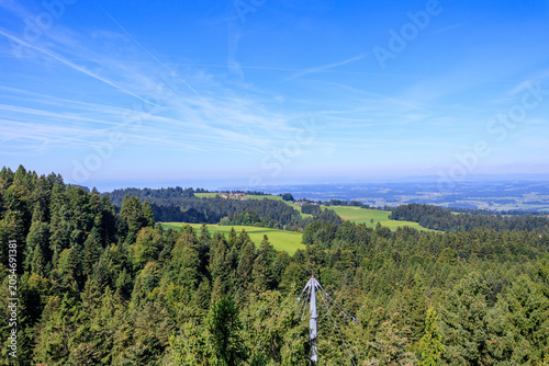 Lake Bodensee panorama seen from Waldwelt Skywalk Allgäu in Scheidegg, Bavaria, Germany