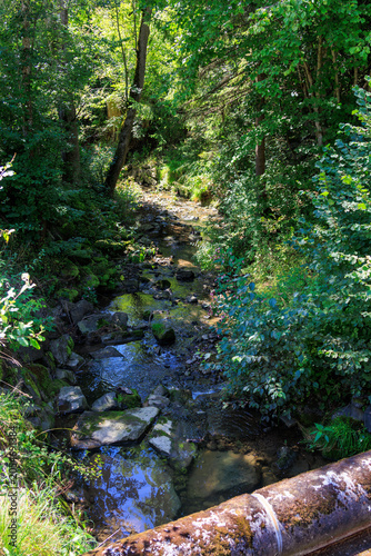 Stream Galetschbach near Rettenberg in Allgäu, Germany