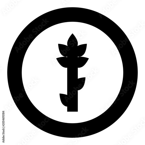 Asparagus plant healthy concept food icon in circle round black color vector illustration image solid outline style