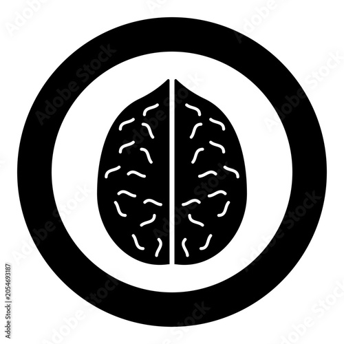 Walnut icon in circle round black color vector illustration image solid outline style