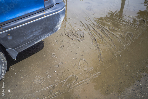 Footprints in a dirty parking lot after rain on a summer day