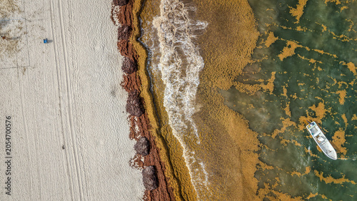 Aerial drone view of sargassum seaweed bloom on Playa del Carmen beach. Environmental problem showing brown sargazo algae accumulation on Mexican Caribbean coast.