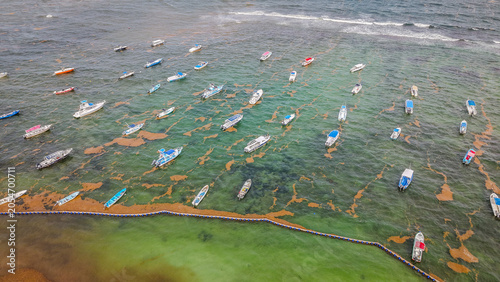 Aerial drone view of sargassum seaweed bloom on Playa del Carmen beach. Environmental problem showing brown sargazo algae accumulation on Mexican Caribbean coast.
