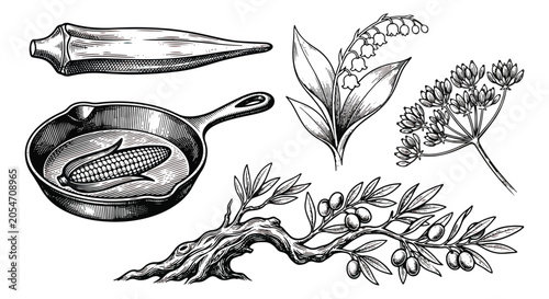 Schilderij op canvas Vintage botanical and culinary vector set, hand drawn okra and corn in cast iron