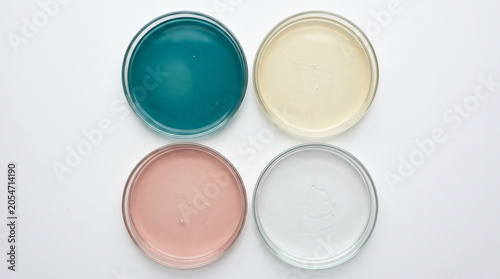 Four petri dishes with colorful agar media in laboratory experiment.