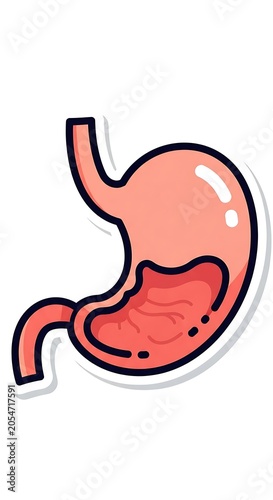 Pink cartoon illustration of human digestive system anatomy.