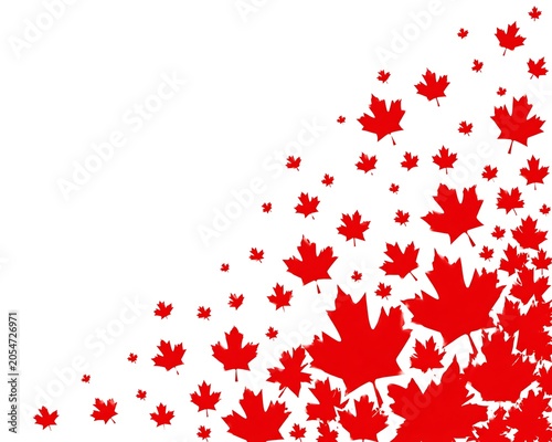Red maple leaves falling on white background