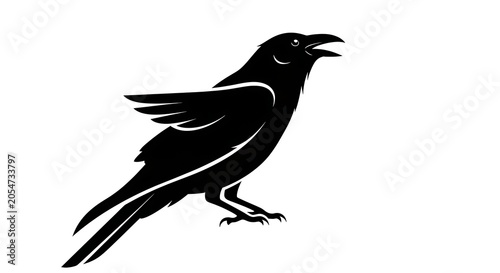 Black crow bird in flight silhouette against white background.