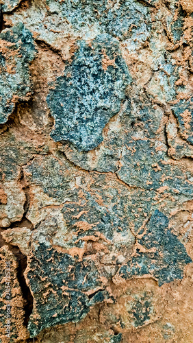 close-up photo of tree bark as background