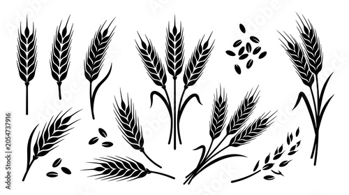 Wheat Ears and Seeds Illustration.