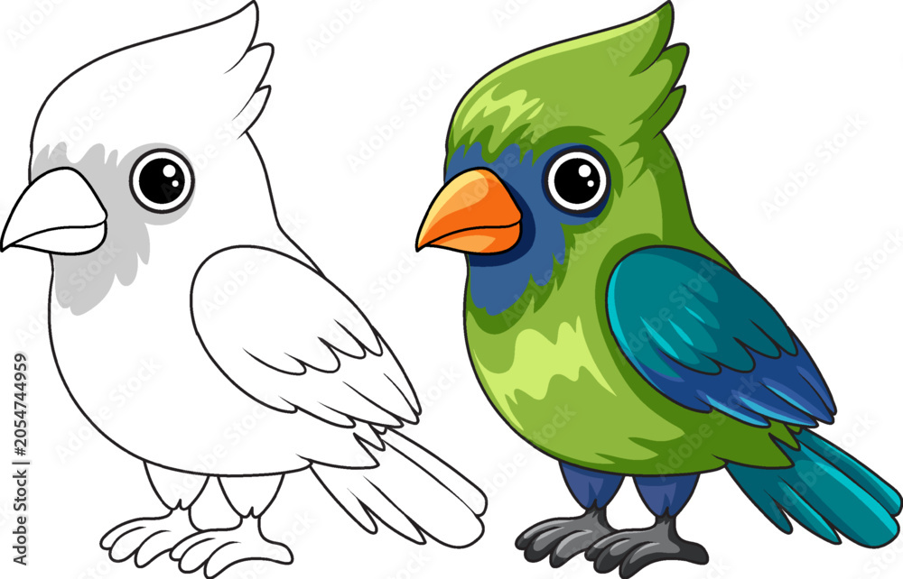 Fototapeta premium Cute Cartoon Bird Illustration in Color and Black and White Outline