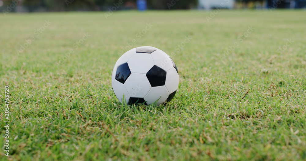 Obraz premium Ground, space and sports with ball on soccer field for activity, competition or outdoor hobby. Fitness, green grass and training with object on empty pitch for start of game, match or tournament