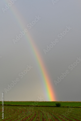 Quadro su tela Base d'un arc-en-ciel pendant une légère averse en fin de journée mi-juin à Saint-Hubert