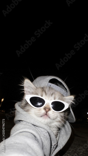 Swag cat wearing grey hoodie with sunglasses and backwards cap taking a selfie at night