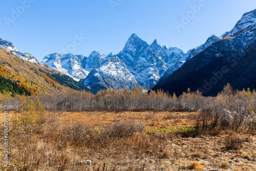 Snow-capped mountains and forested slopes in the Gonachkhir Gorge