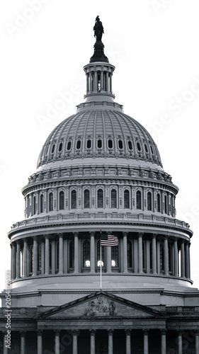 Cuadro en lienzo U.S. Capitol black and white for articles