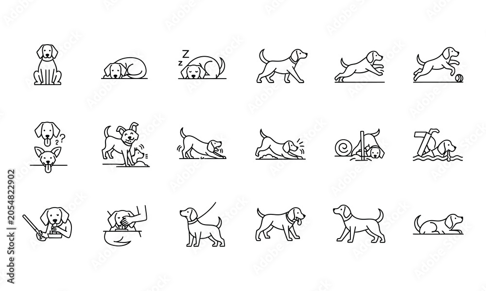 Fototapeta premium Black thin line icons set of dogs in different poses and situations on white backdrop.
