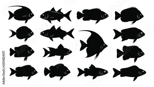 Photography various fish silhouettes on white background silhouette marine life aquatic anim