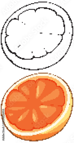 Orange Fruit Slice Vector Illustration in Color and Line Art